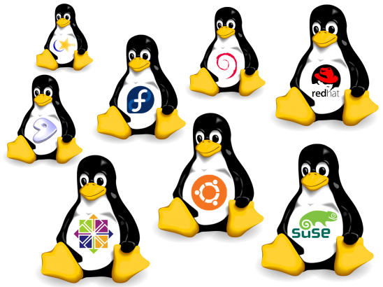 Tại sao Linux lại có nhiều bản phân phối như vậy?