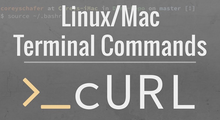 CURL Command in Linux: Giới thiệu lệnh Curl