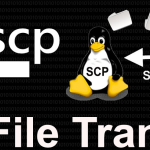 Sao chép file giữa các máy linux với câu lệnh SCP