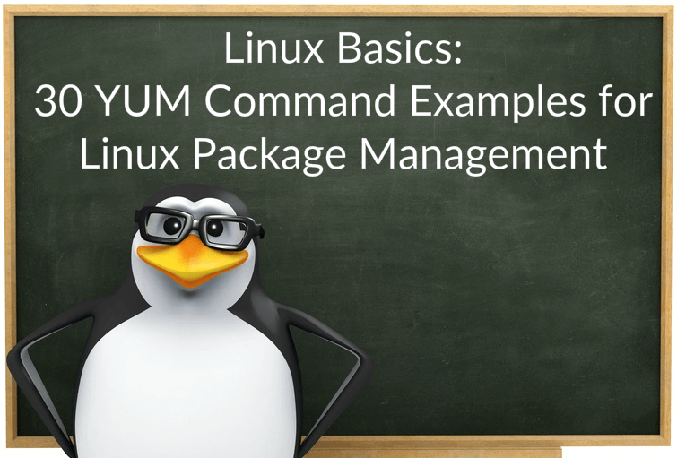 30 YUM Command Examples for Linux